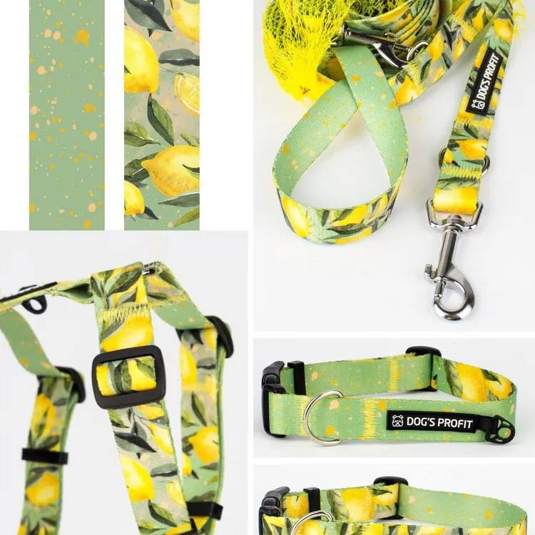 Szelki bezuciskowe PRO-FIT™ SIGNORA LIMONE XS|20mm