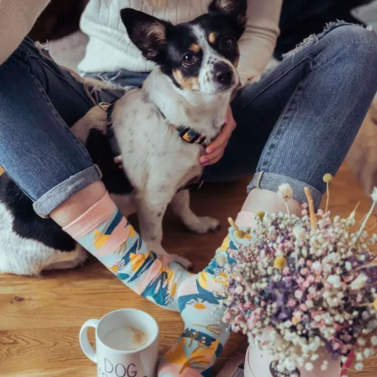 Skarpetki DOCKSY™ DAISY 36-42