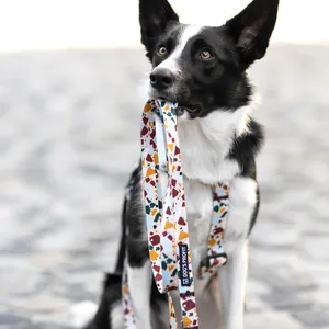 Smycz miejska Dog's Profit