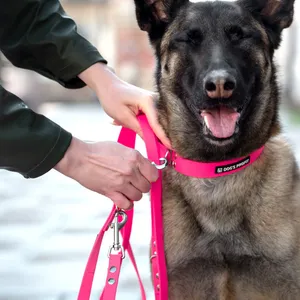 Smycz przepinana Dog's Profit