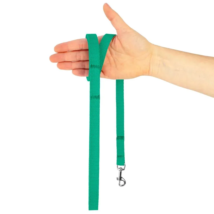 Smycz dla szczeniaka LAZUROWA JAK WYBRZEŻE