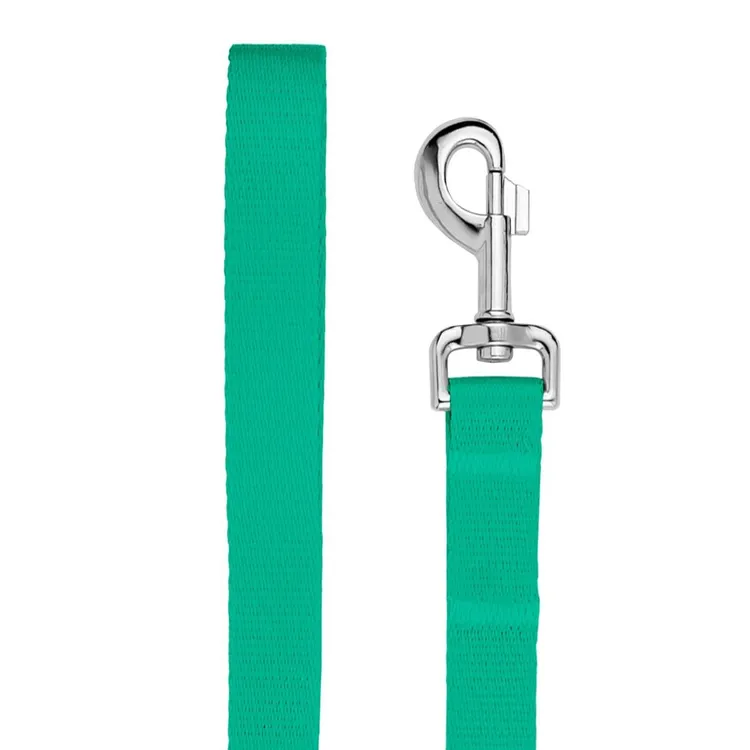 Smycz miejska LAZUROWA JAK WYBRZEŻE 150cm 20mm