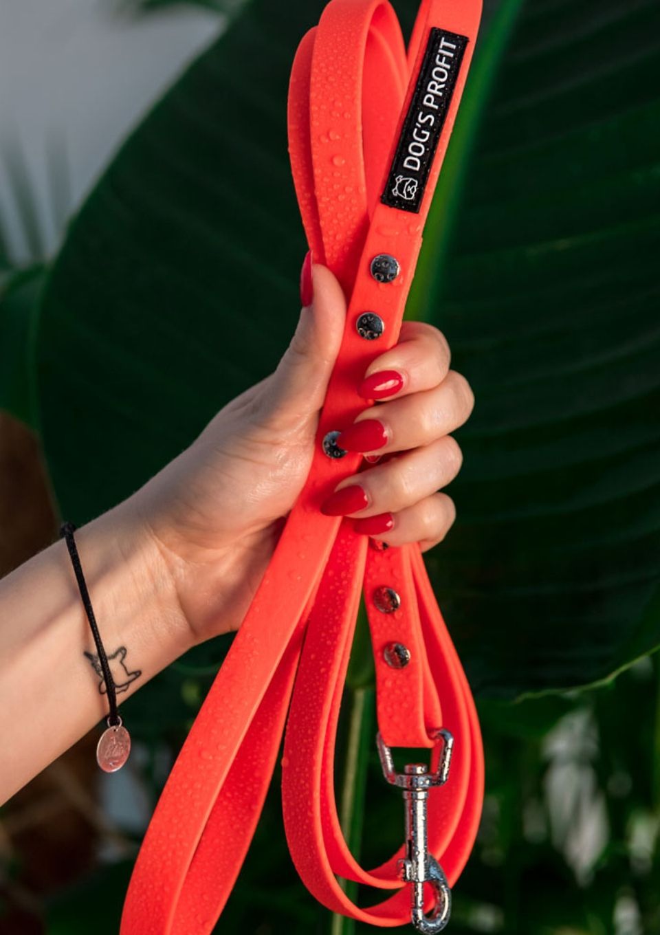 Smycz miejska ADVENTURE CRAZY ORANGE 150cm 16mm