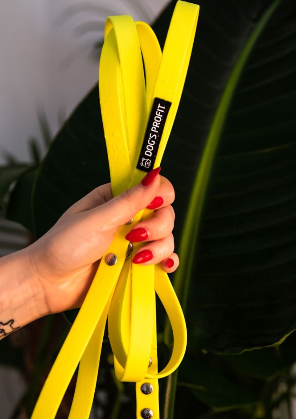 Smycz miejska ADVENTURE LEMON 150cm 16mm