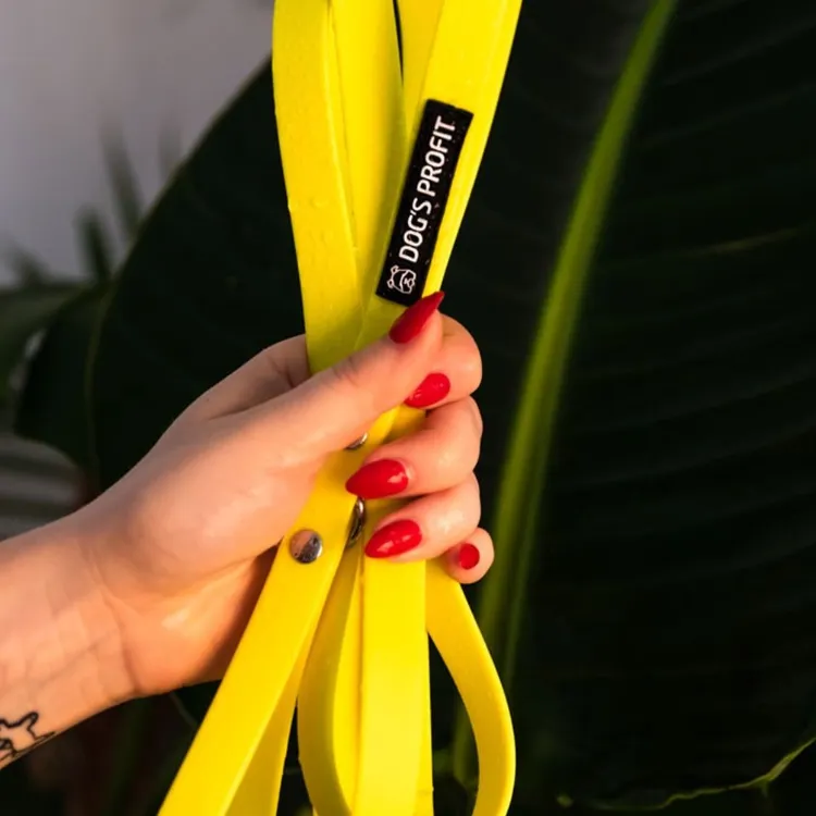 Smycz miejska ADVENTURE LEMON 150cm 16mm