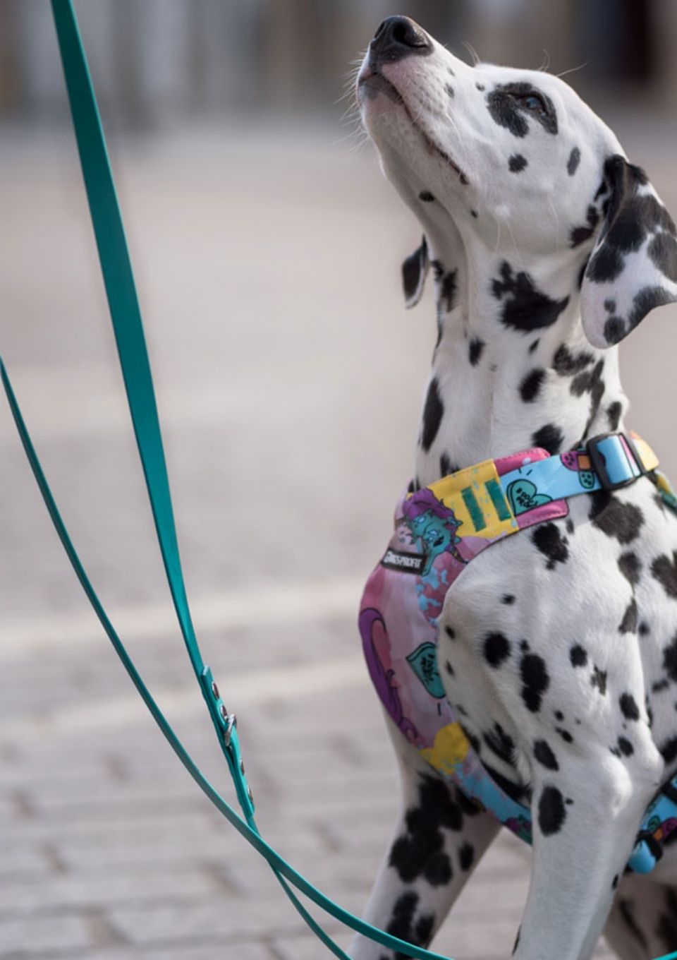 Smycz miejska ADVENTURE OCEAN 150cm 16mm