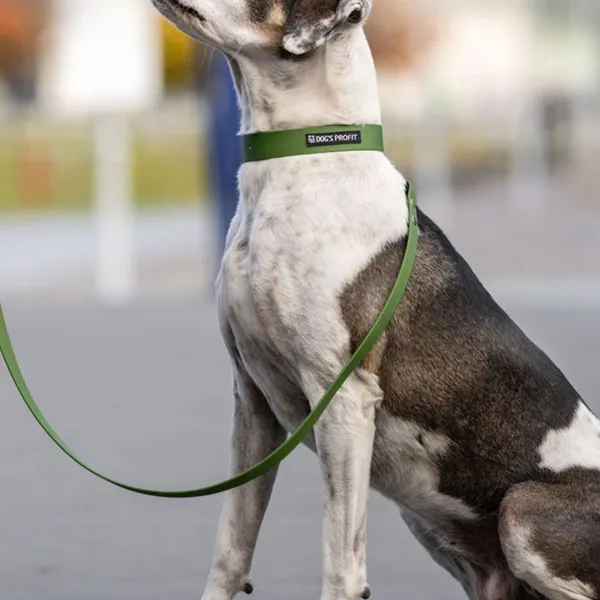 Smycz miejska ADVENTURE OLIVE