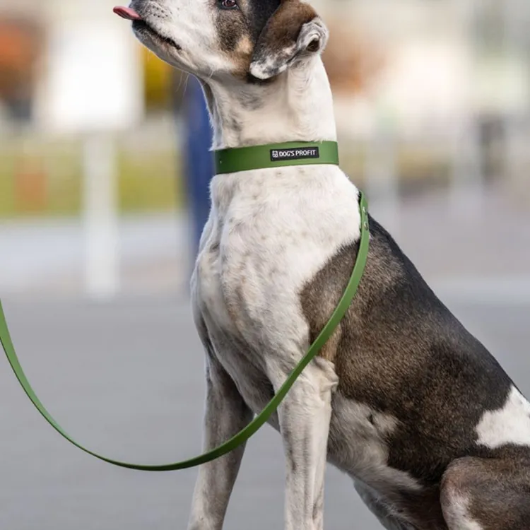 Smycz miejska ADVENTURE OLIVE 150cm 16mm