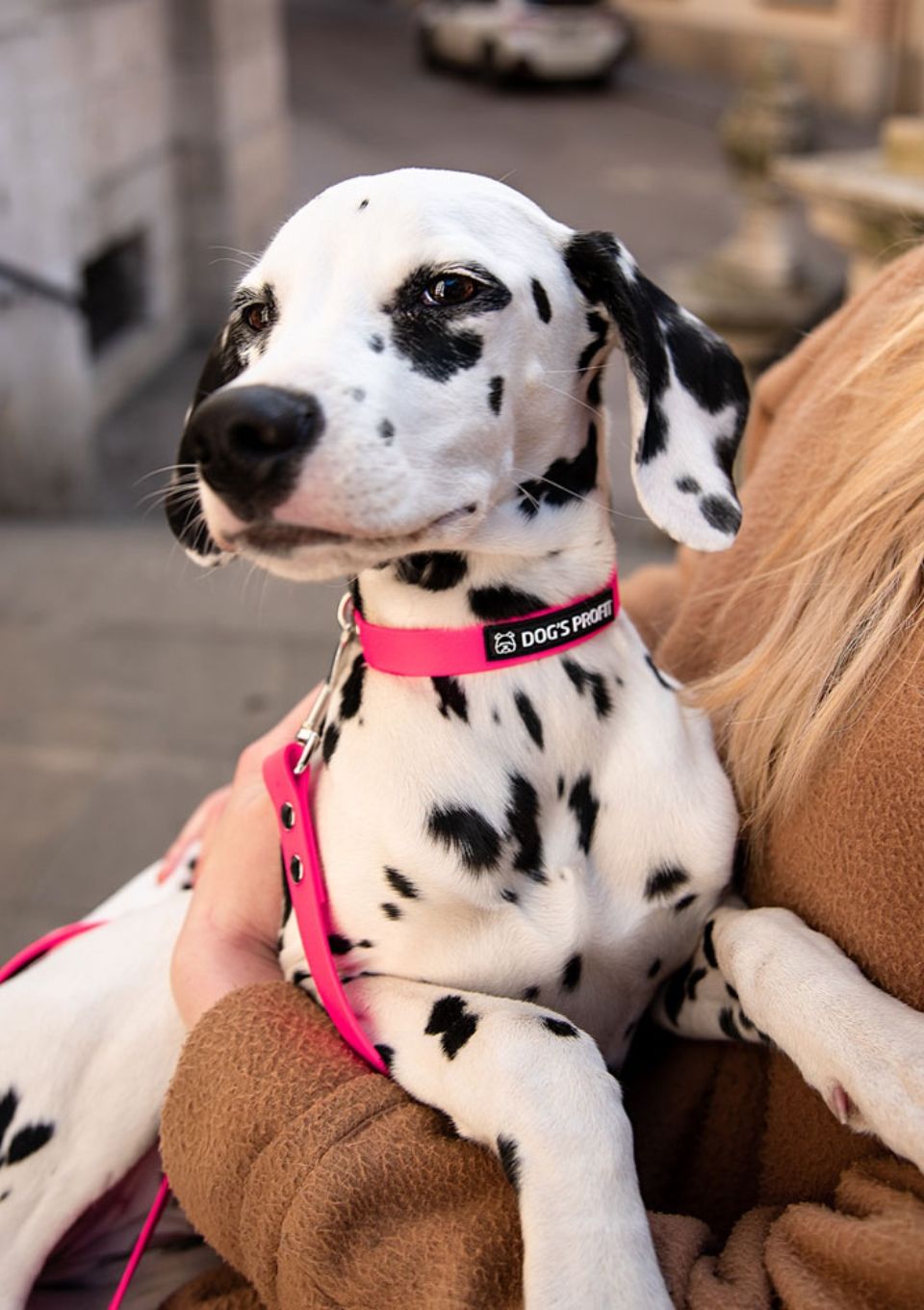 Smycz miejska ADVENTURE PINK 150cm 16mm