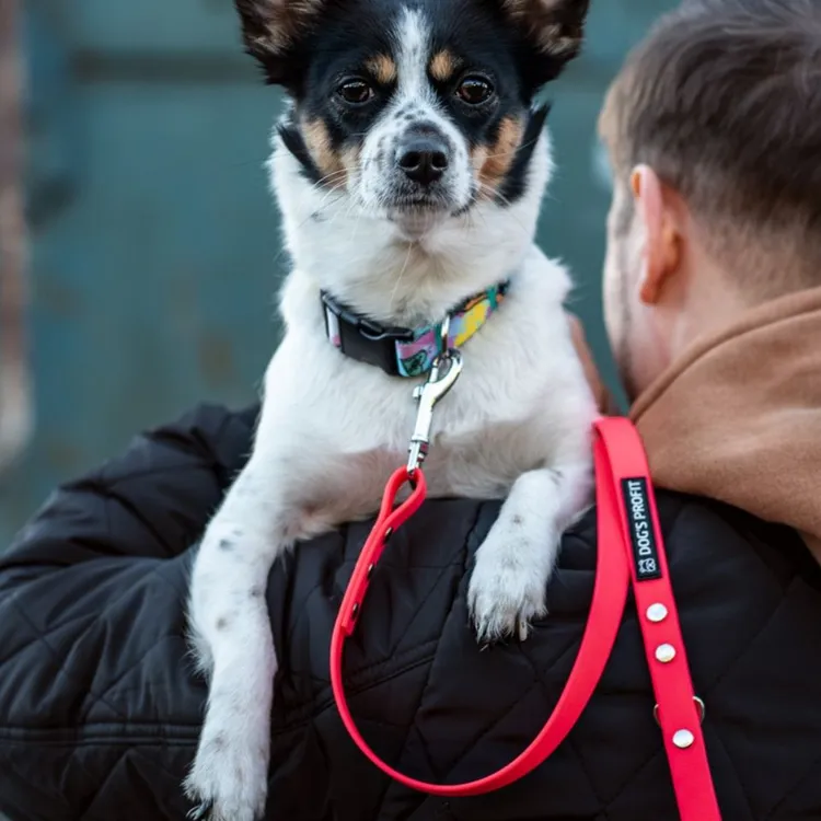 Smycz miejska ADVENTURE PINK 150cm 16mm