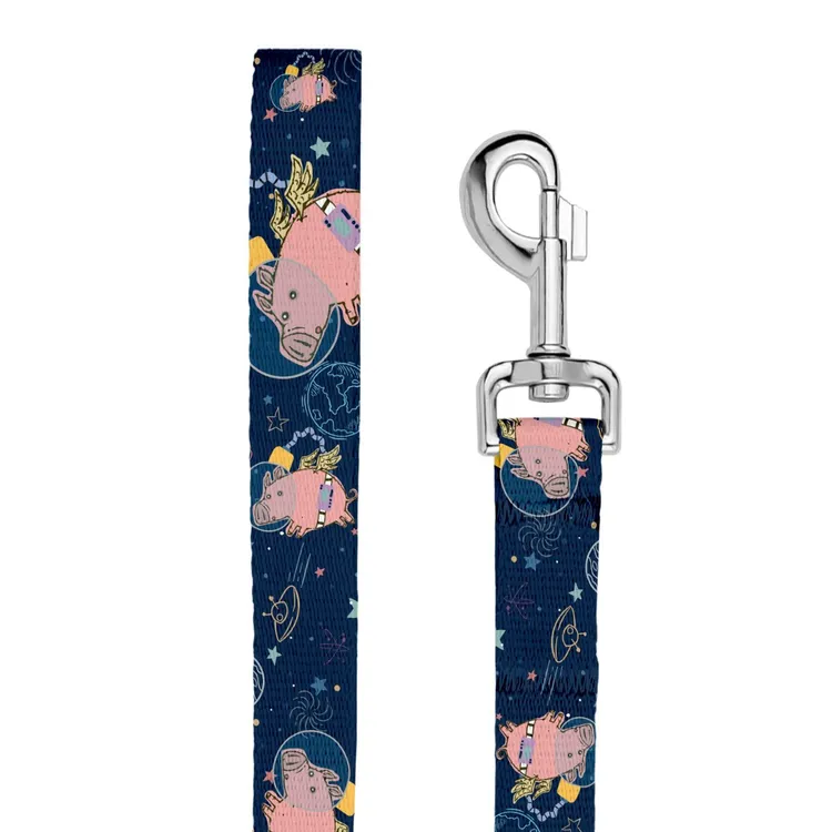 Smycz miejska ASTRO PIG 150cm 20mm