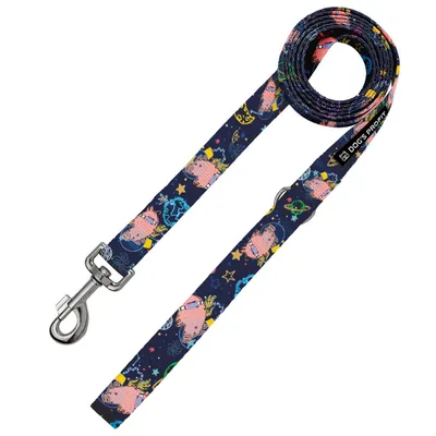 Smycz miejska ASTRO PIG