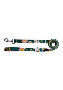 Smycz miejska DAISY 150cm 20mm