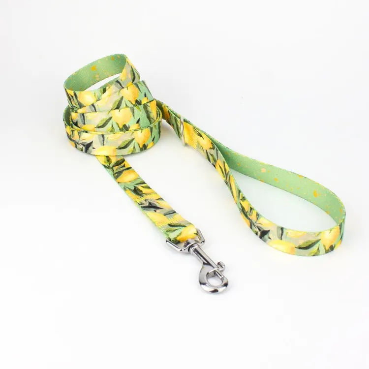 Smycz miejska SIGNORA LIMONE 150cm 20mm