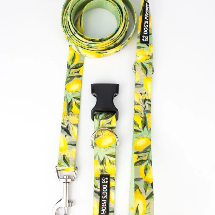 Szelki bezuciskowe PRO-FIT™ SIGNORA LIMONE XS|20mm