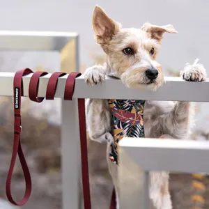 Długości w smyczy miejskiej Dog's Profit