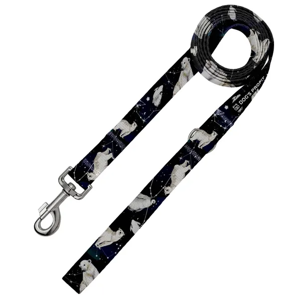 Smycz miejska EKSPRES POLARNY