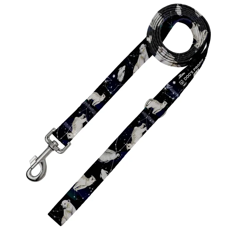 Smycz miejska EKSPRES POLARNY 150cm 20mm