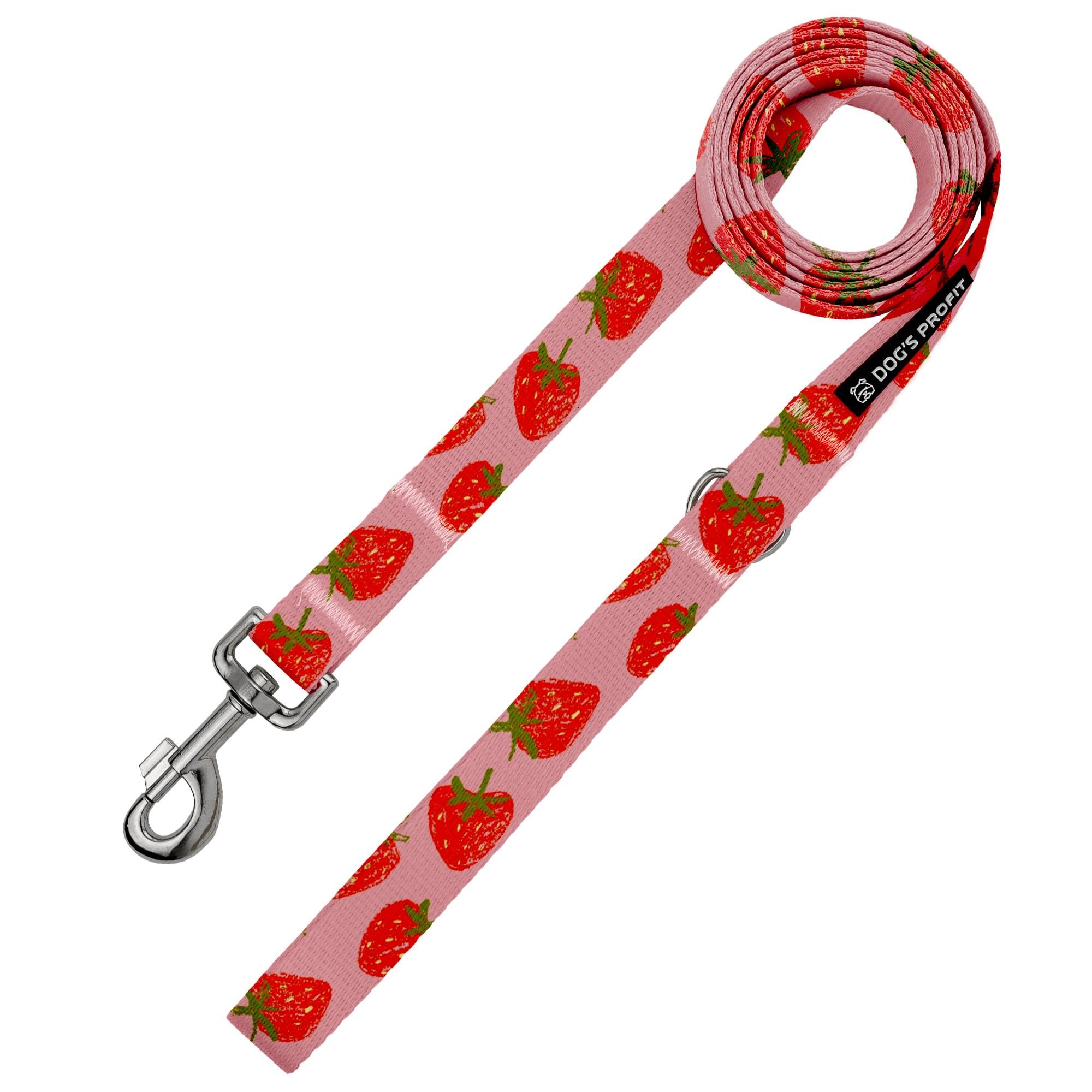 Smycz miejska FRAGOLA