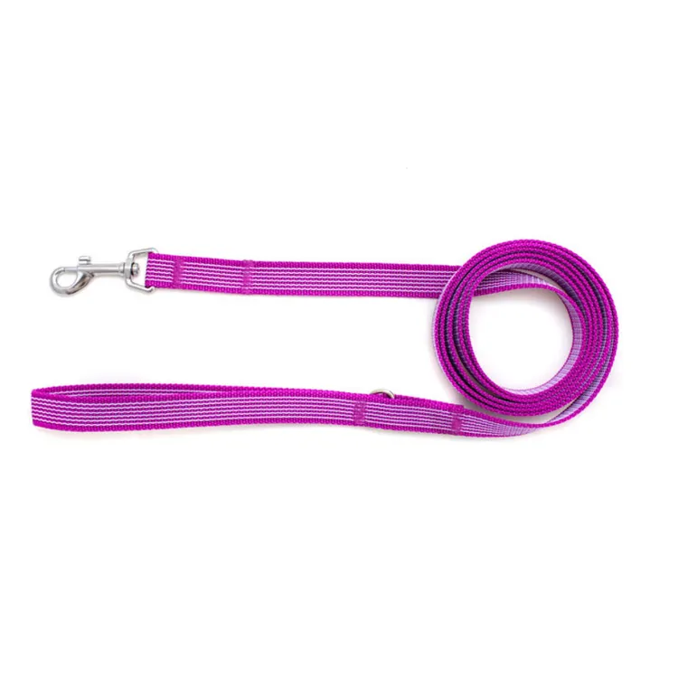 Gumowana smycz miejska MAGENTA 150cm 20mm