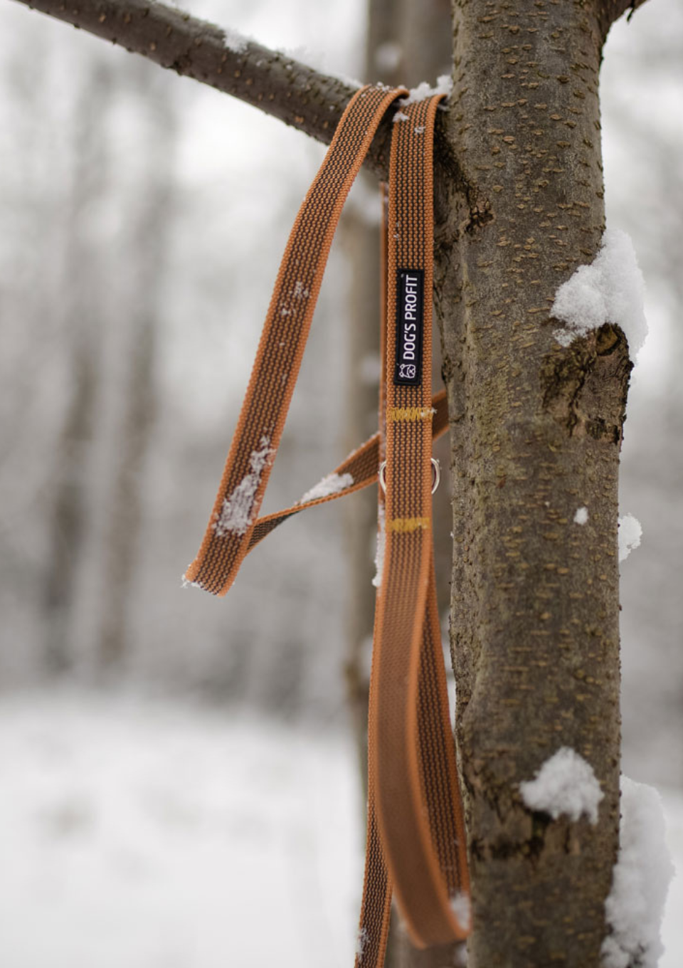 Gumowana smycz miejska PEANUT 150cm 20mm