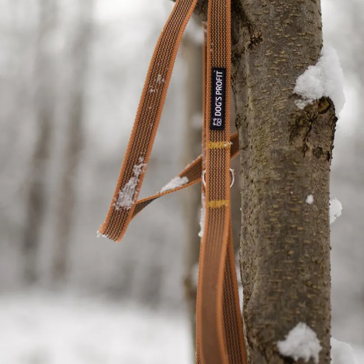 Gumowana smycz miejska PEANUT 150cm 20mm