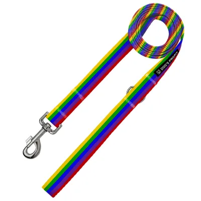 Smycz miejska KOLOROWA JAK TĘCZA