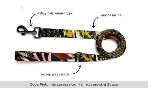 Smycz dla psa z kolekcji Wild - Dog's Profit.