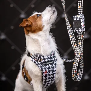 Rączka w smyczy miejskiej Dog's Profit