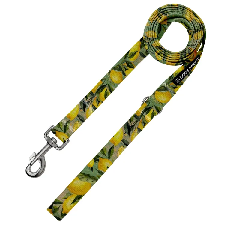 Smycz miejska SIGNORA LIMONE 150cm 20mm