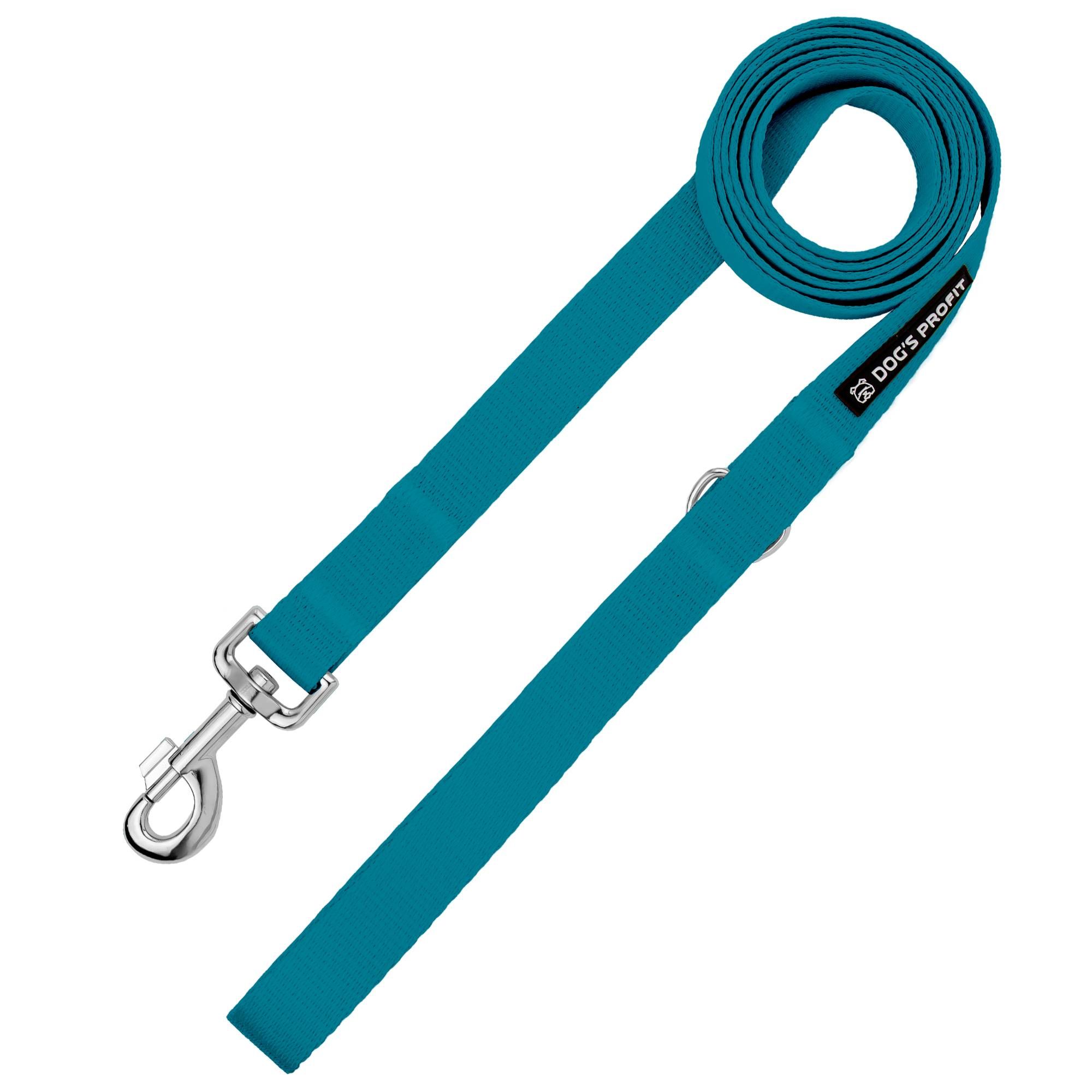 Smycz miejska BASIC TURKUSOWA 150cm 20mm