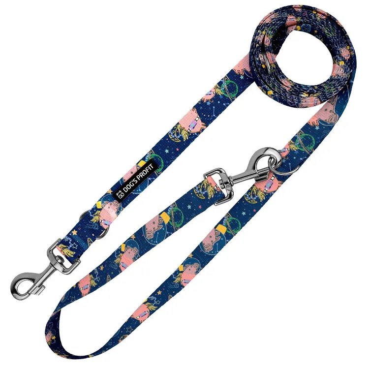 Smycz przepinana ASTRO PIG 200cm 20mm