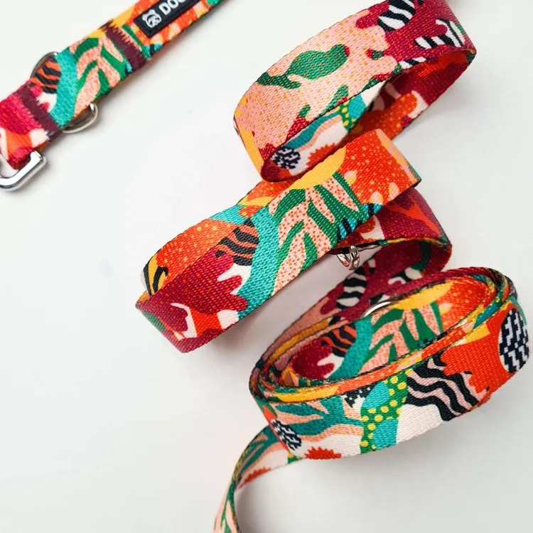 Obroża półzaciskowa MEXICO S | 20mm