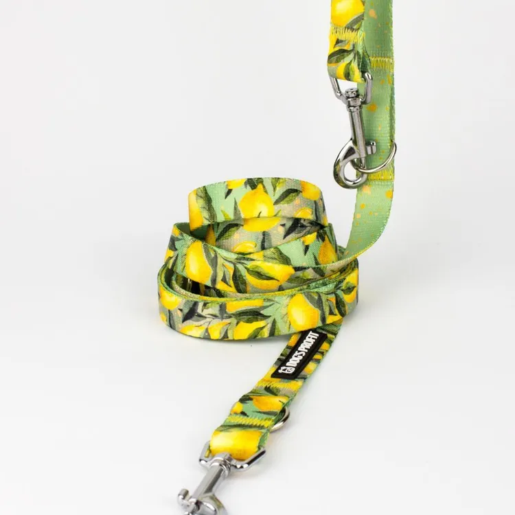 Smycz przepinana SIGNORA LIMONE 200cm 20mm