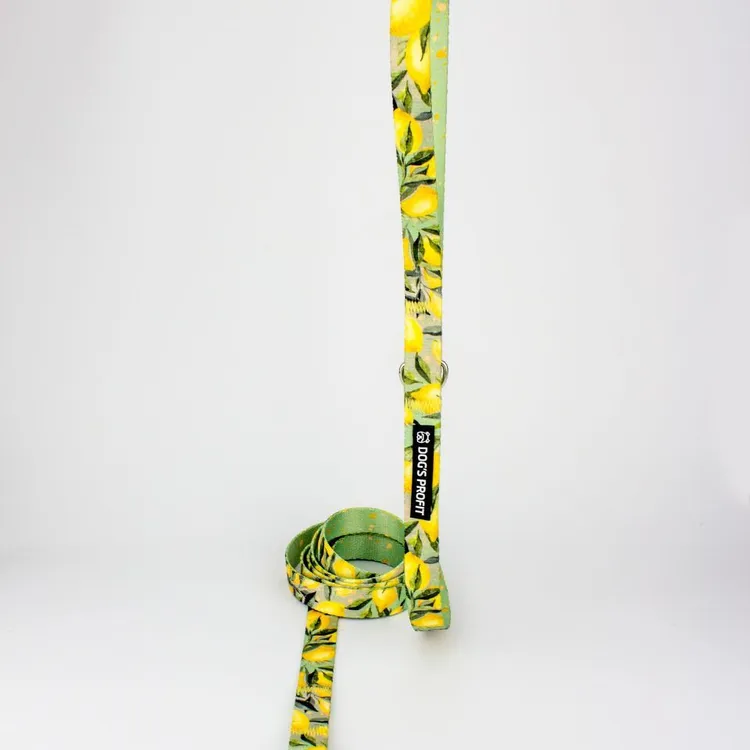 Smycz miejska SIGNORA LIMONE 150cm 20mm