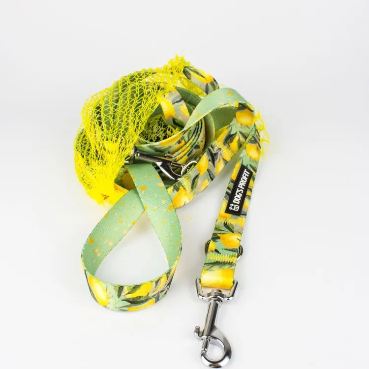 Smycz przepinana SIGNORA LIMONE 200cm 20mm