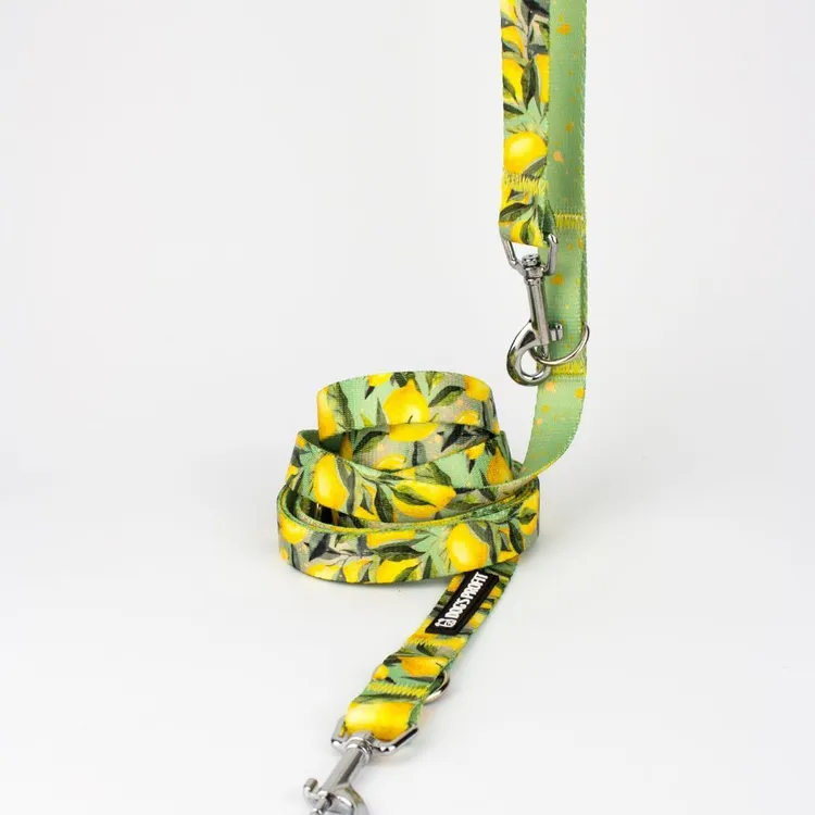 Smycz przepinana SIGNORA LIMONE 200cm 20mm