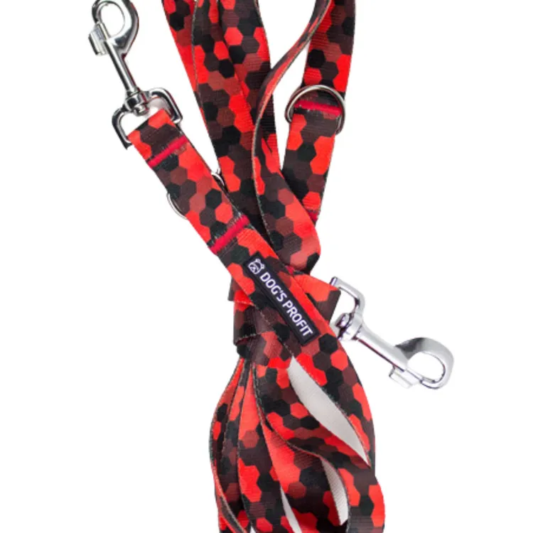 Smycz przepinana DOG&ROLL 200cm 20mm