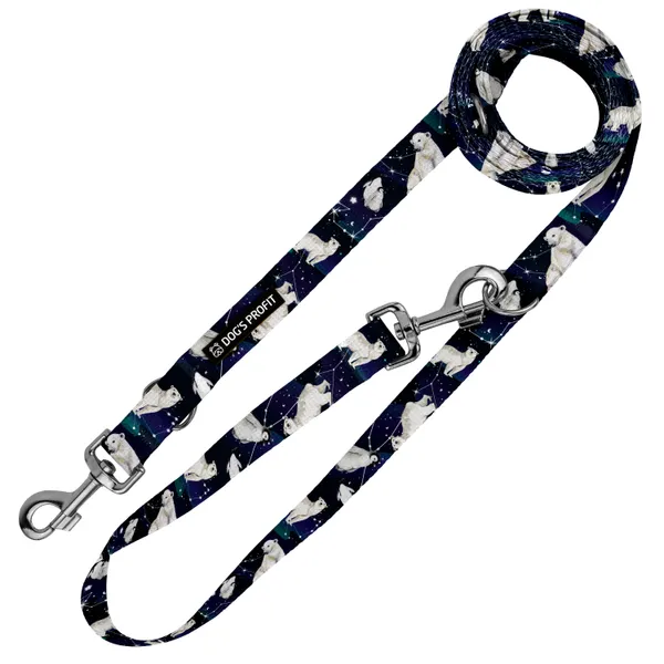 Smycz przepinana EKSPRES POLARNY