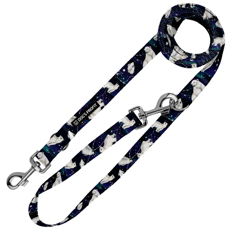 Smycz przepinana EKSPRES POLARNY 200cm 20mm