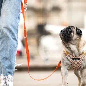 Regulacja w smyczy przepinanej Dog's Profit