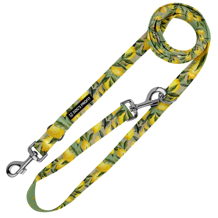 Smycz przepinana SIGNORA LIMONE 200cm 20mm