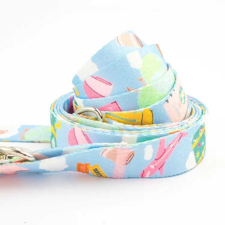 Smycz miejska Voyage, voyage! 150cm 20mm