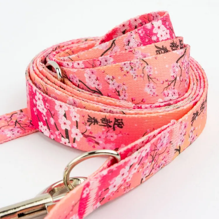 Szelki bezuciskowe PRO-FIT™ Sakura XS|20mm