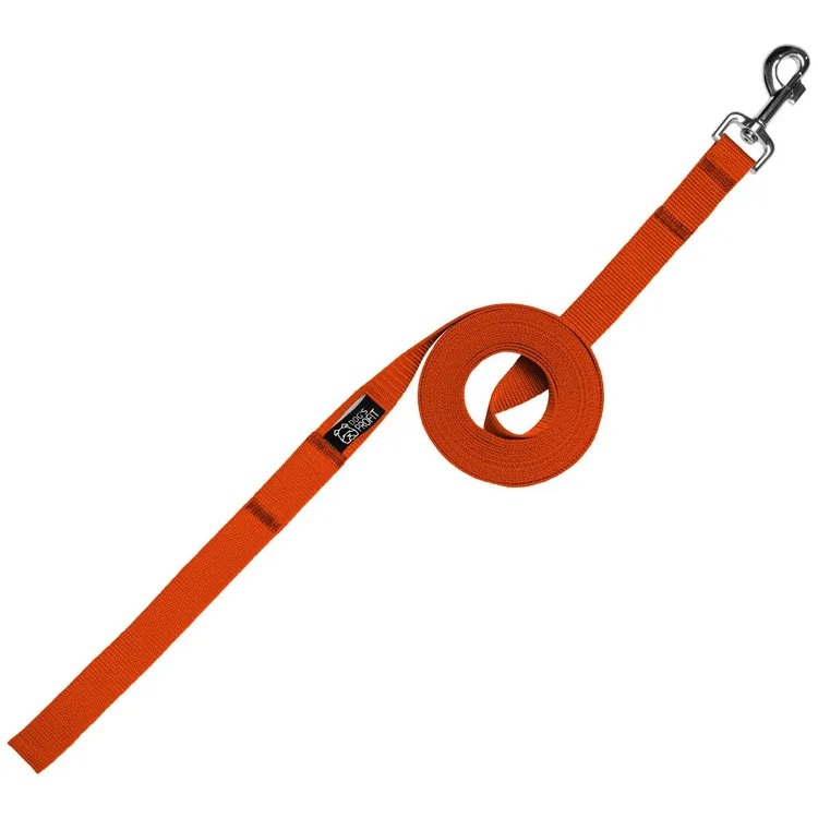 Smycz treningowa POMARAŃCZOWA 5m 15mm