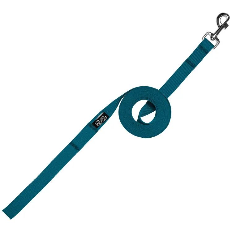 Smycz treningowa TURKUSOWA 5m 15mm