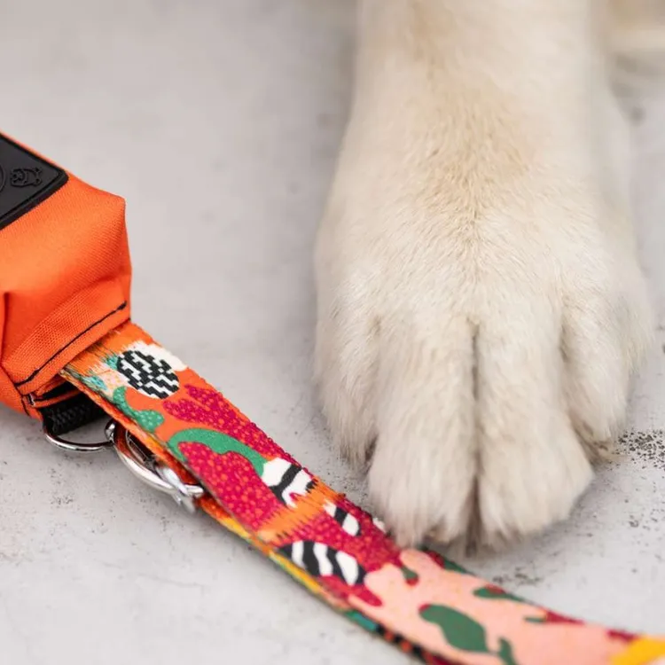 Smycz miejska MEXICO 150cm 20mm