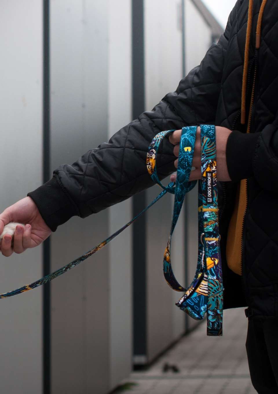 Smycz miejska EXOTIC 150cm 20mm