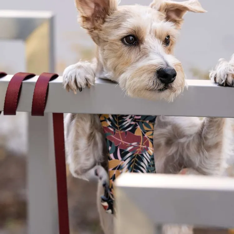 Smycz przepinana PORTO 200cm 20mm