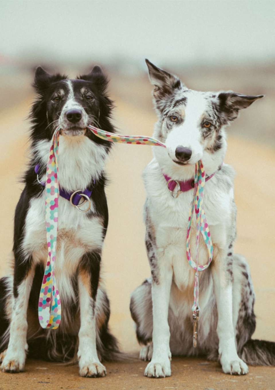 Smycz przepinana MARSHMALLOW 200cm 20mm